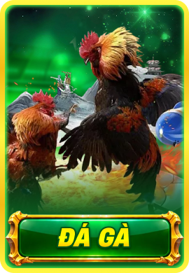 Đá Gà Su88