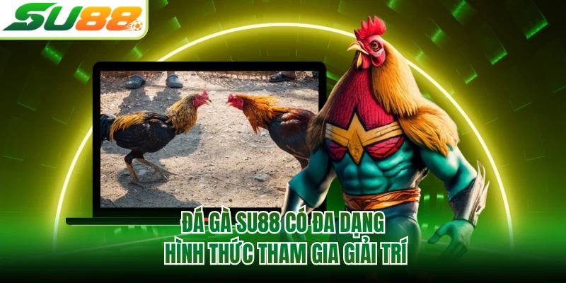Đá gà SU88 có đa dạng hình thức tham gia giải trí