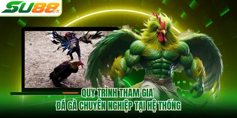 Quy trình tham gia đá gà chuyên nghiệp tại hệ thống